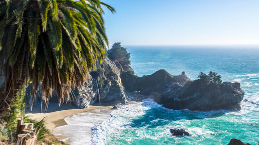 Photo by Chor Hung Tsang on Unsplash