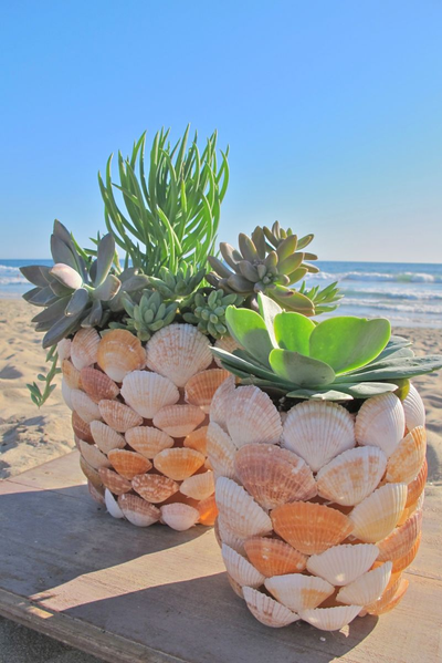 Billabong: DIY Seashell Planter