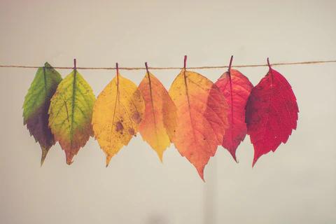 Seasonal Tees & Sweatshirts