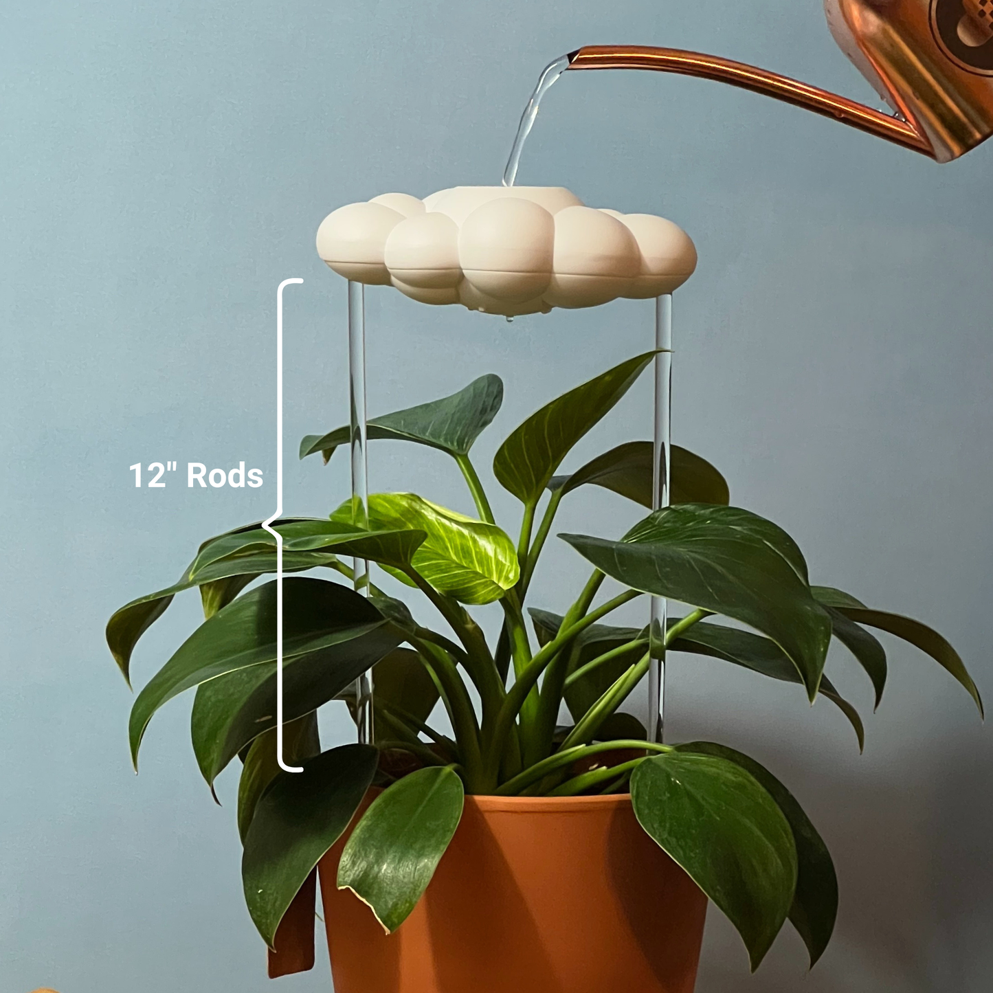 Original Dripping Rain Cloud