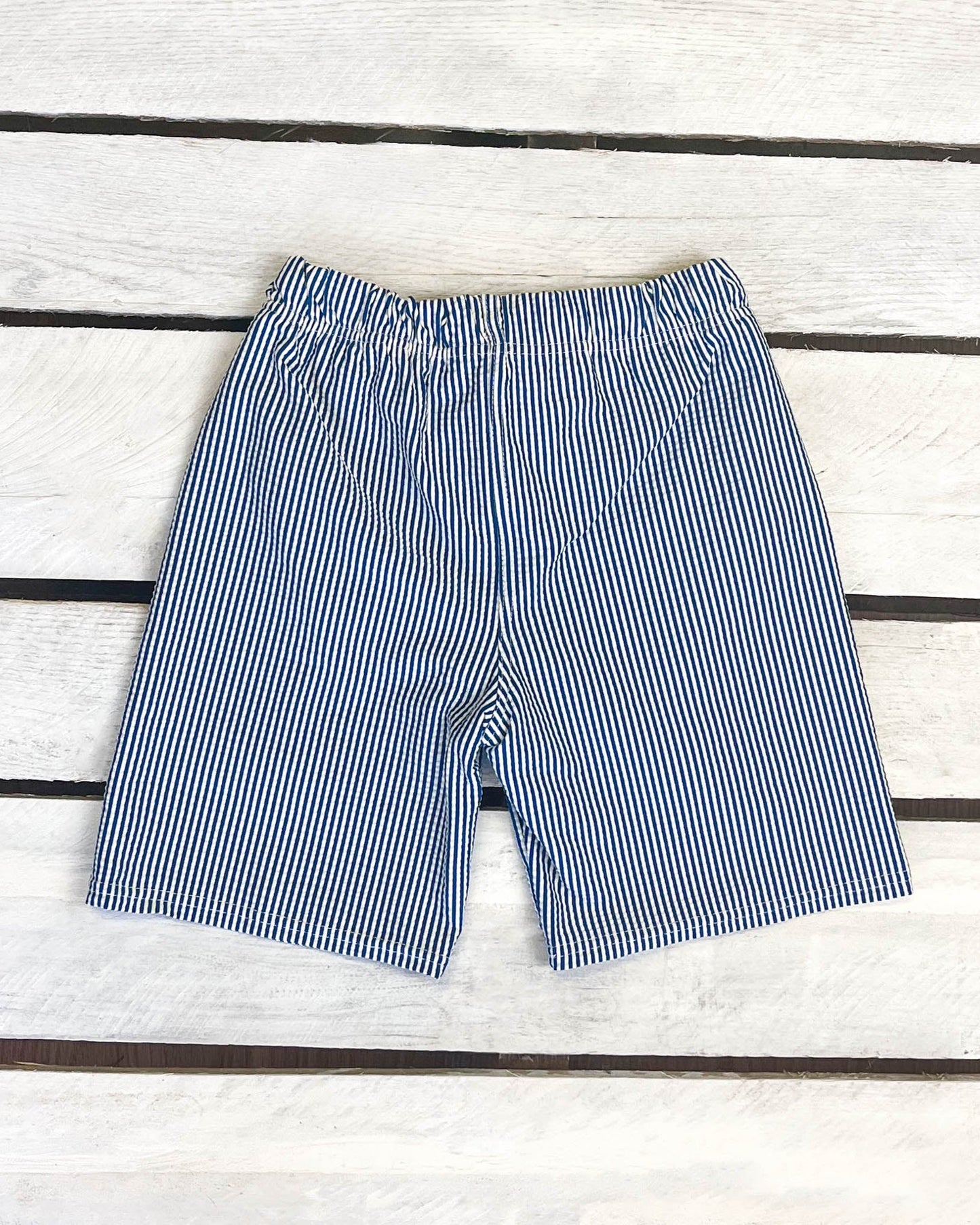 Coastal Seersucker Swim Shorts