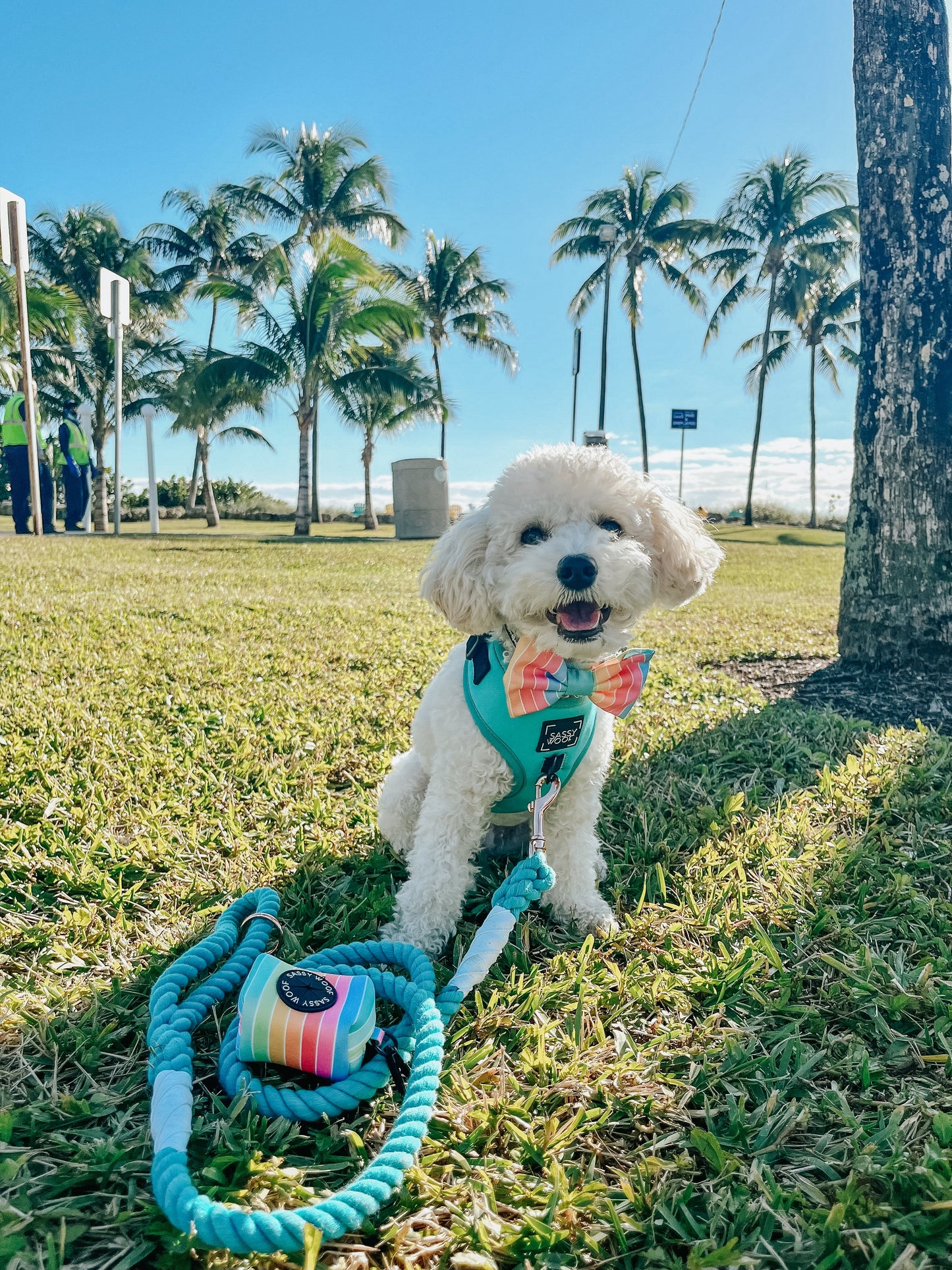 Dog Adjustable Harness - Neon Blue