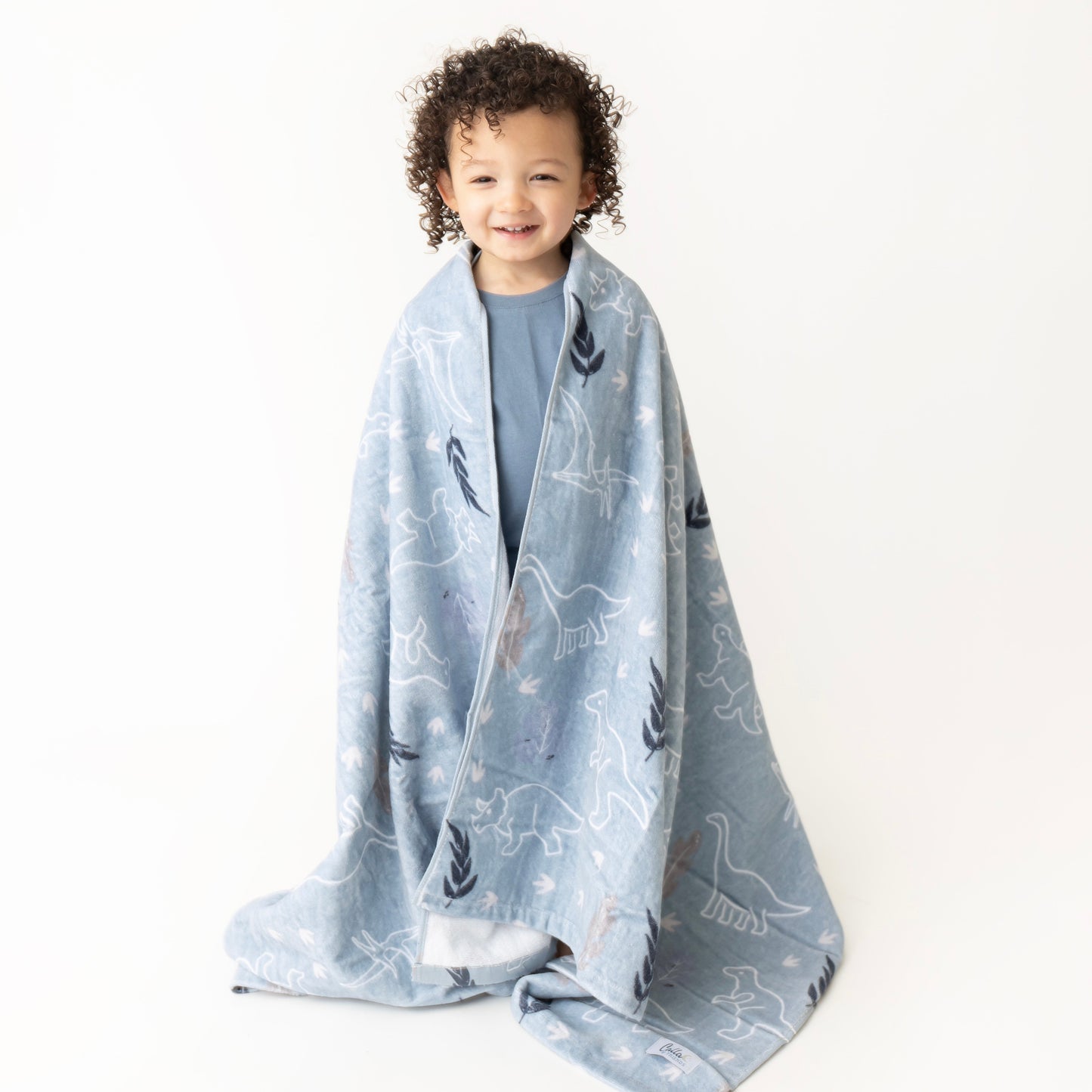The Kenzie Beach Towel - Dinos