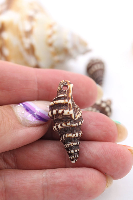 Brown Cerith Seashell: German Resin Charm, 32mm, Focal Bead, 1 Pendant
