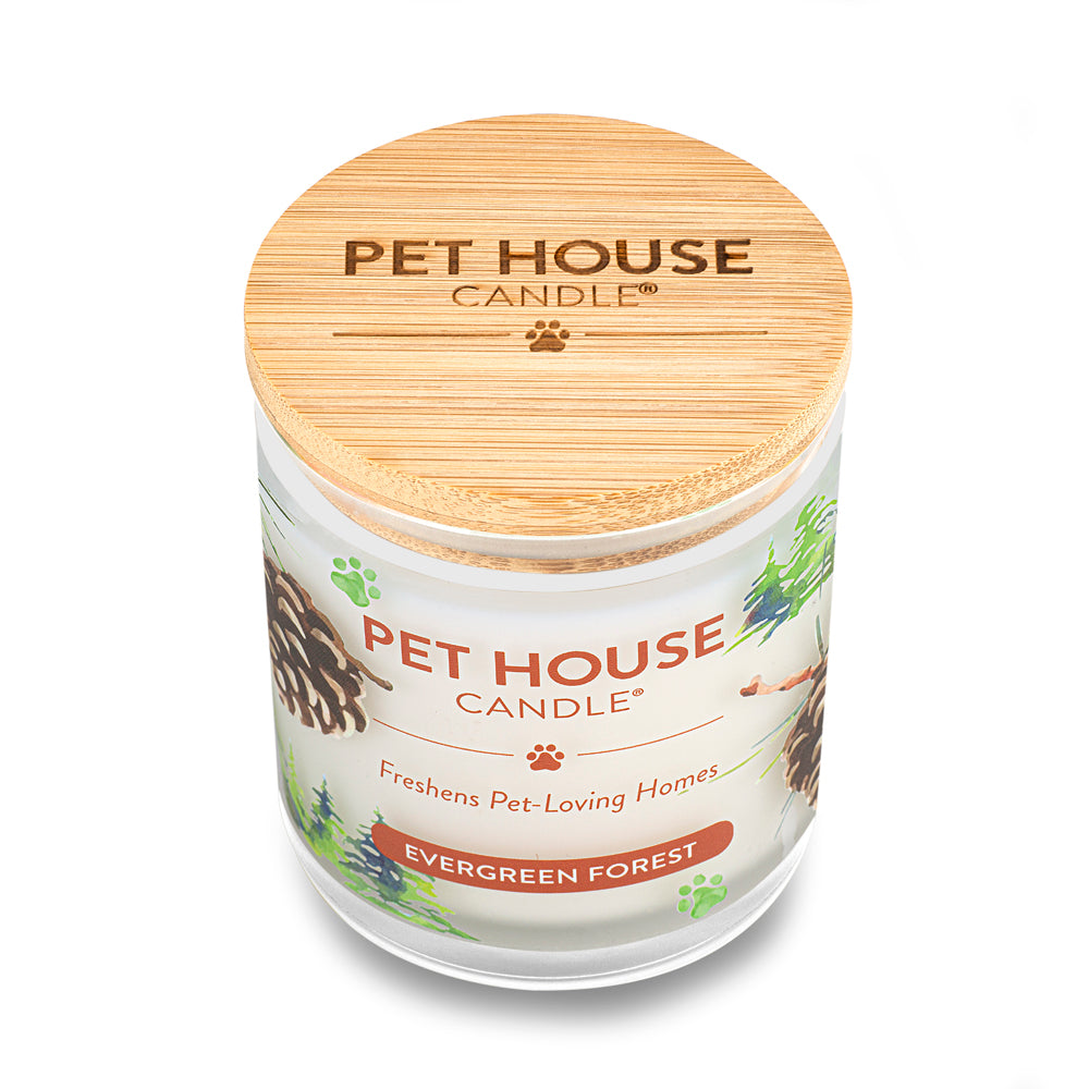 Evergreen Forest Candle