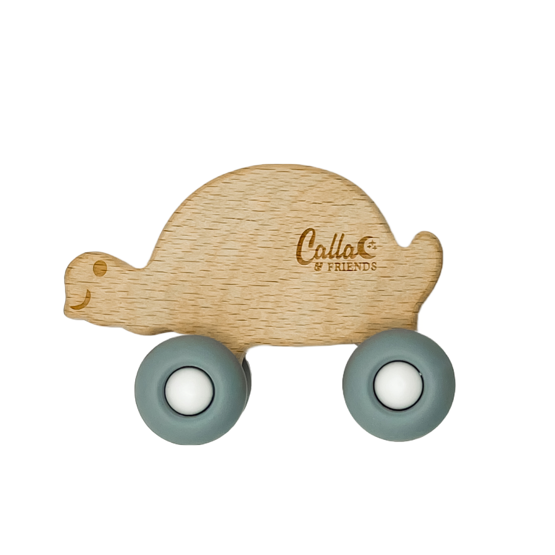 Beechwood Rollin’ Friends - Turtle