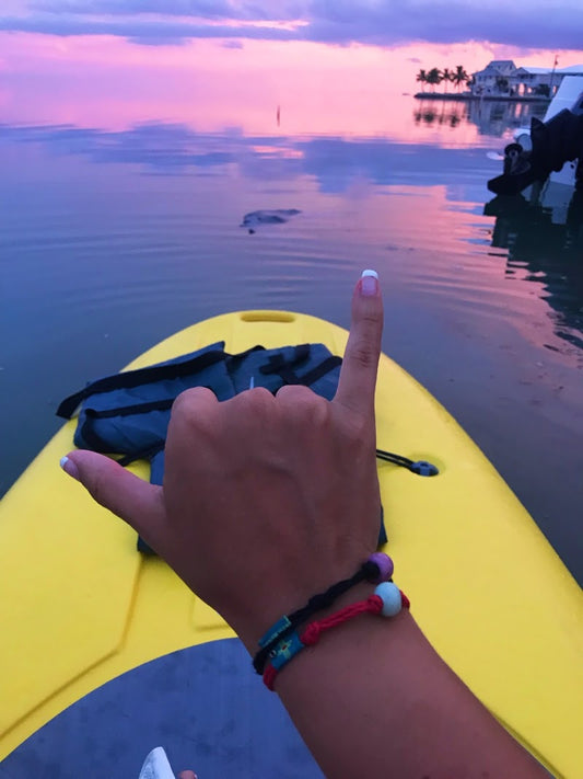 Lake Michigan, MI