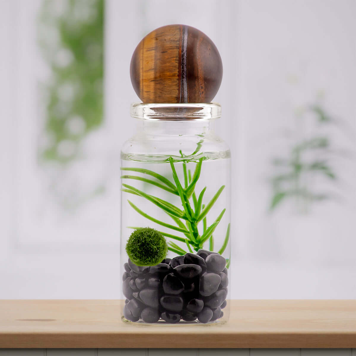 Moss Ball Pet Terrarium - The Alchemist's Collection