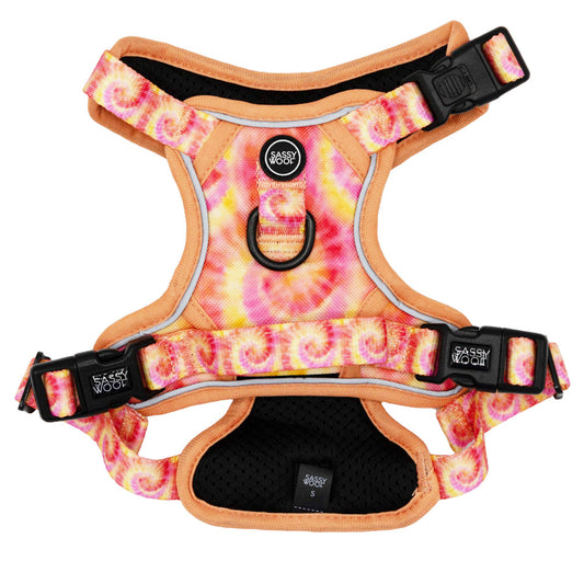 Dog Step-in Harness - Summer Sorbet