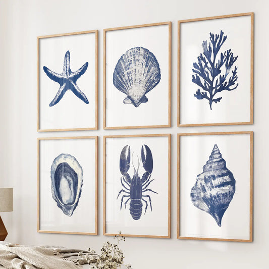 Coastal Set of 6 Art Prints. Shell, Lobster, Starfish, Seaweed