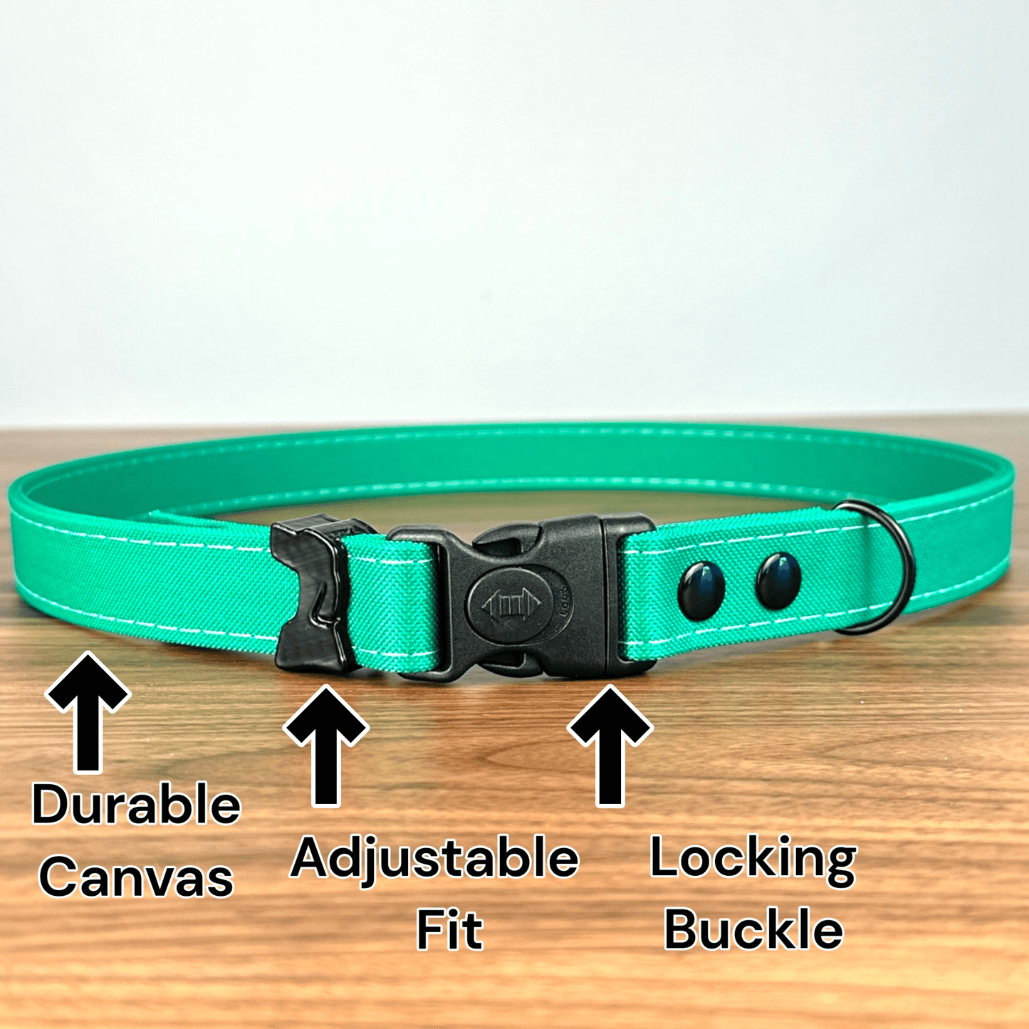 Hands-Free LED Belt Leash