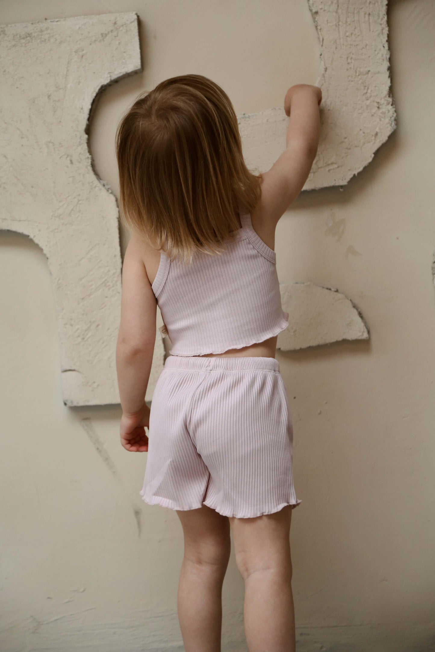 Lilac Crop-Short Set