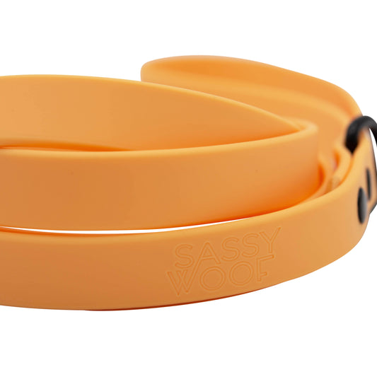 Dog Waterproof Leash - Orange