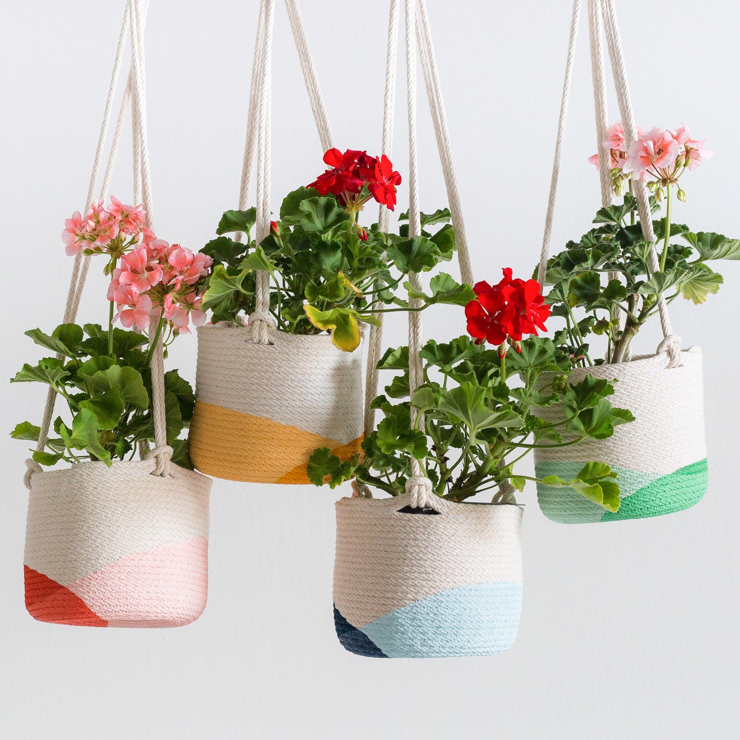 mint hanging planter Closed Mondays Hanging Planter – Coral & Calypso