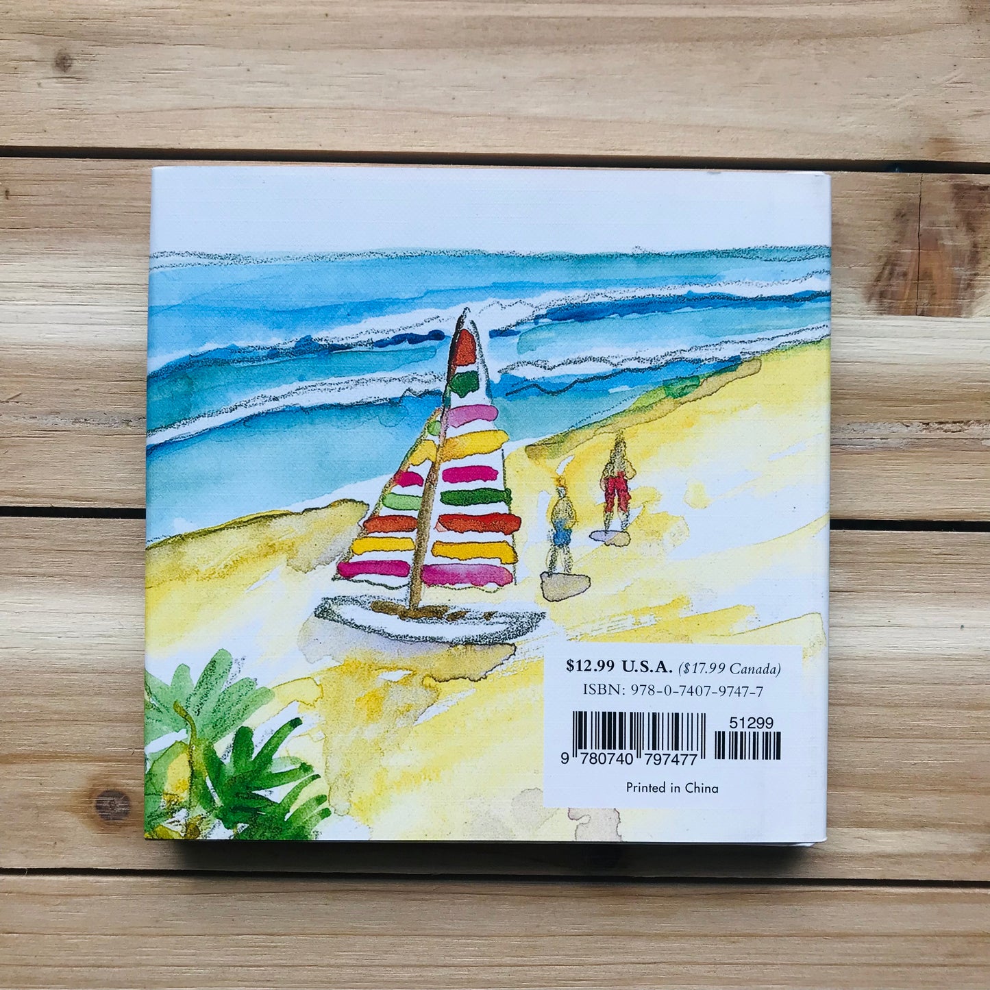 Walks On The Beach Book