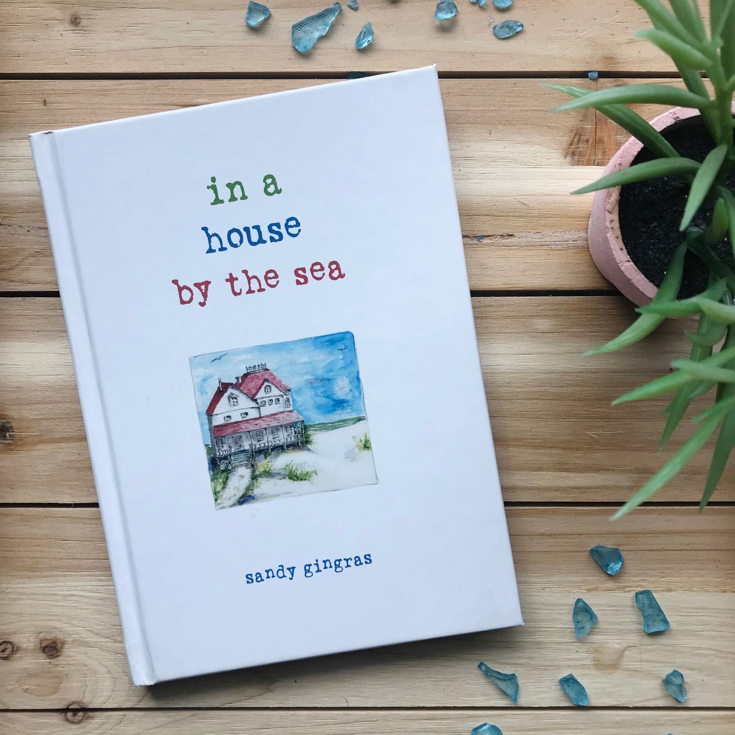 In A House By The Sea Book