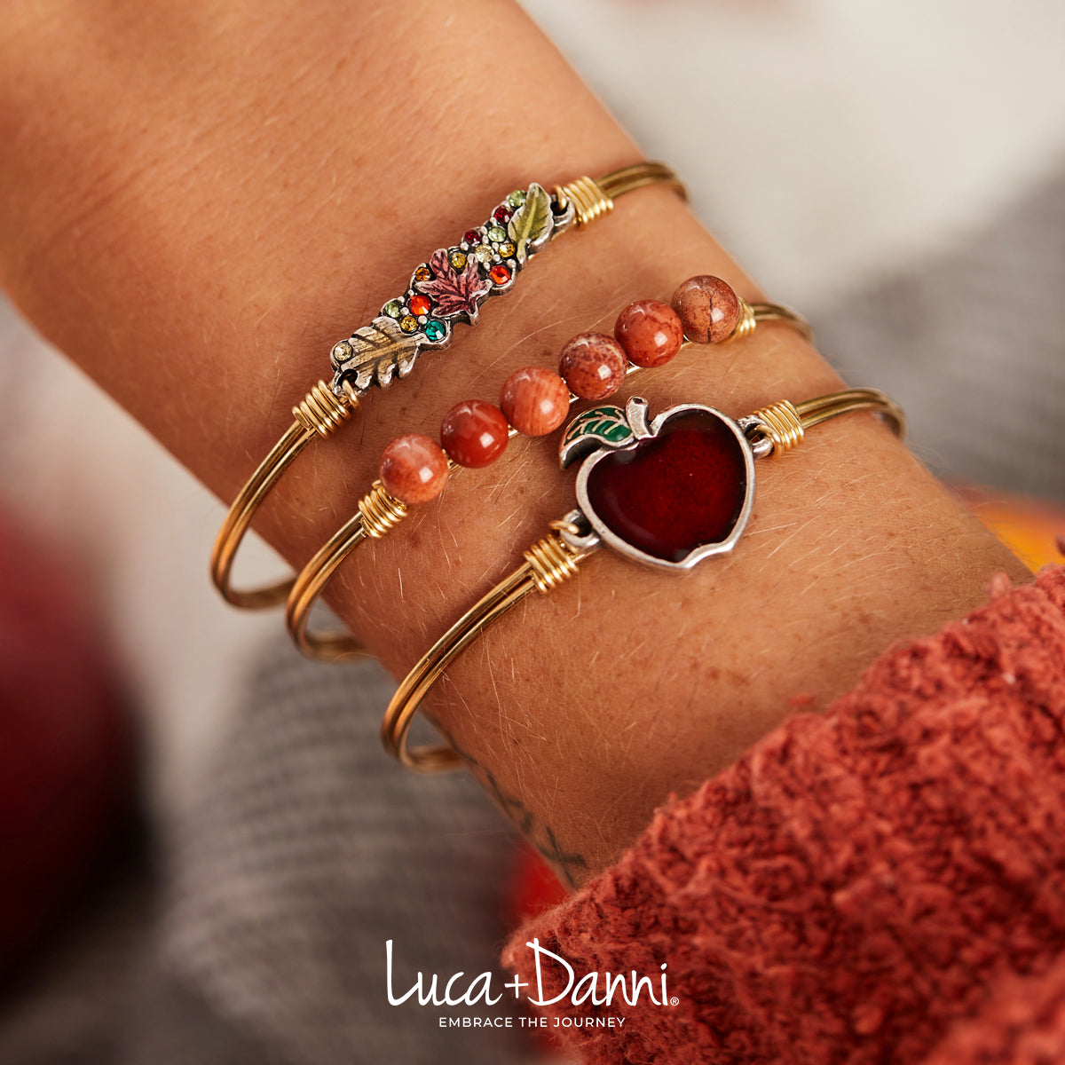 Luca + Danni Red Jasper Energy Stone Bangle Bracelet (Self Confidence)