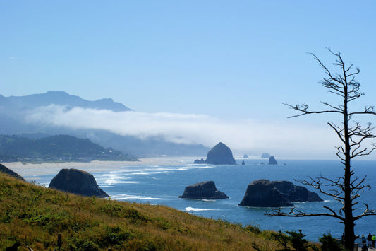 Cannon Beach, Oregon: Sea Stacks, Sunsets & When to Visit