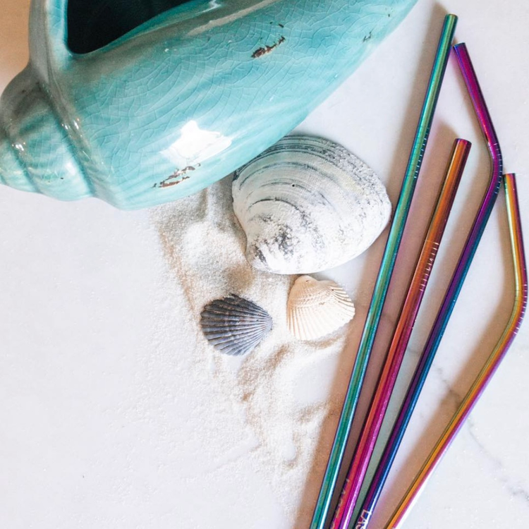 Shop Last Straw Eco-Friendly Reusable Straws | Coral & Calypso