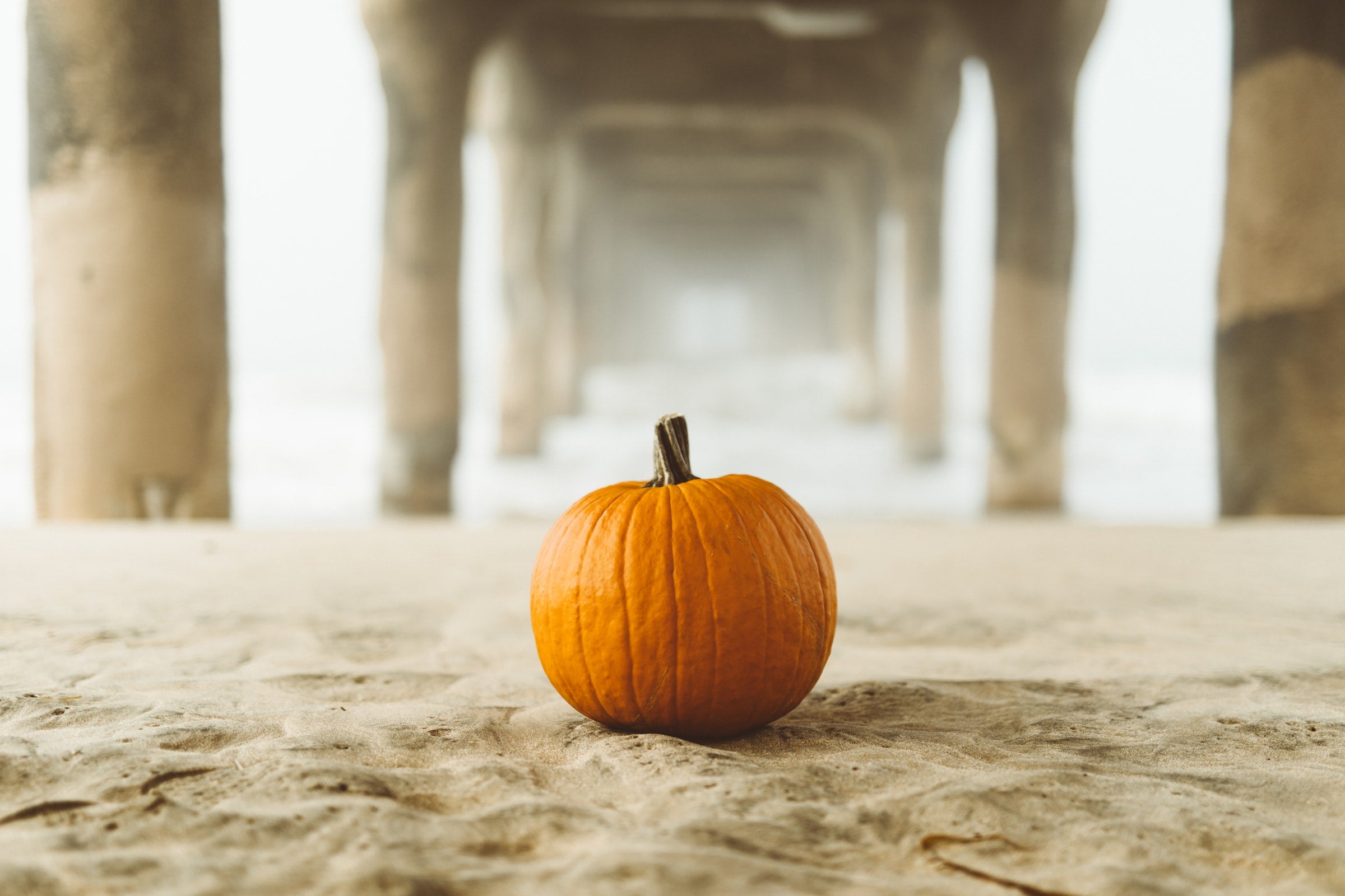 Fall Festival