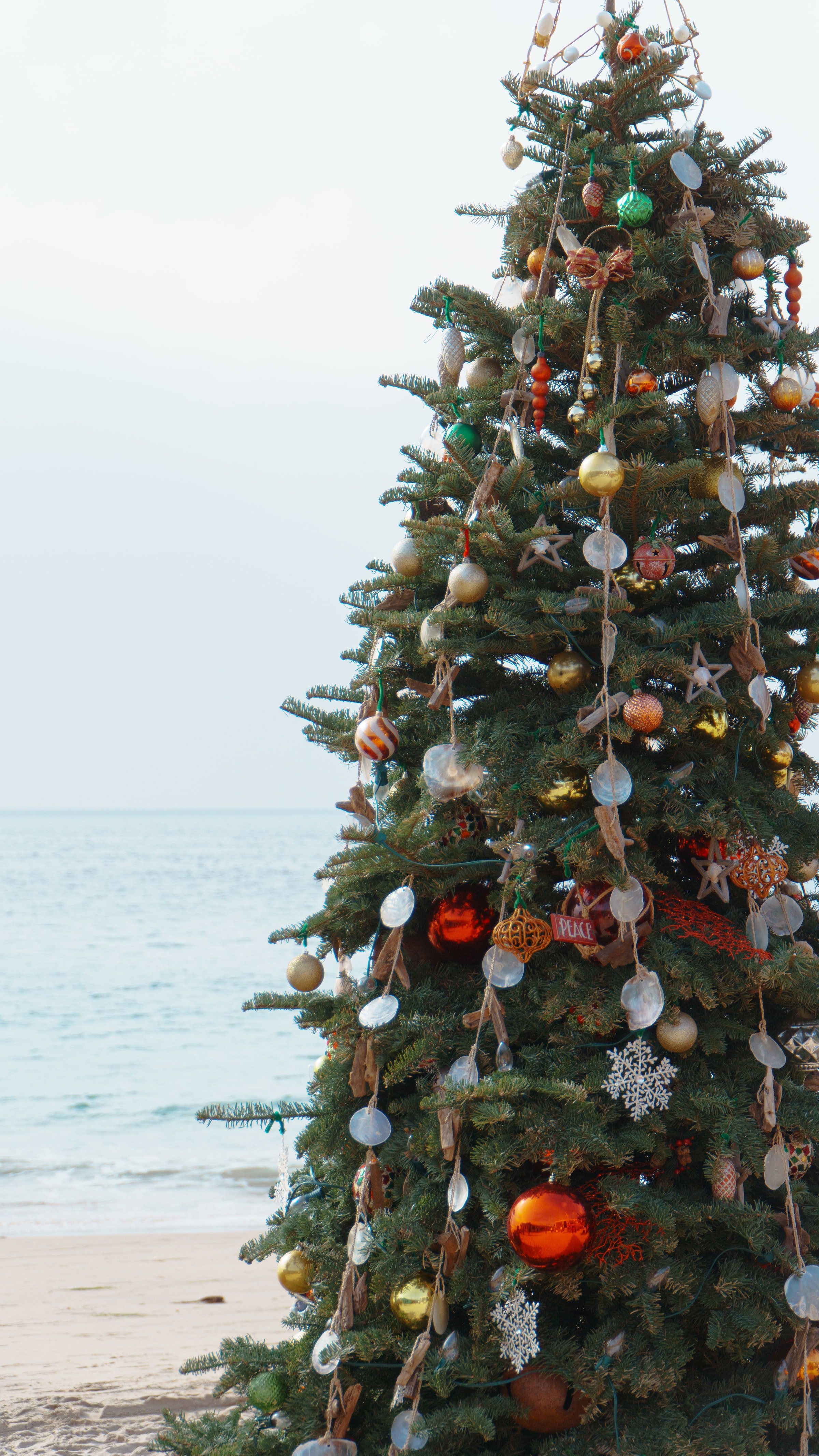 Season's Greetings