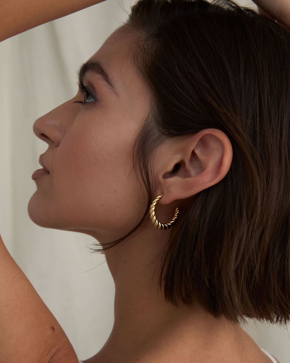Entwined Twisted Hoop Earrings