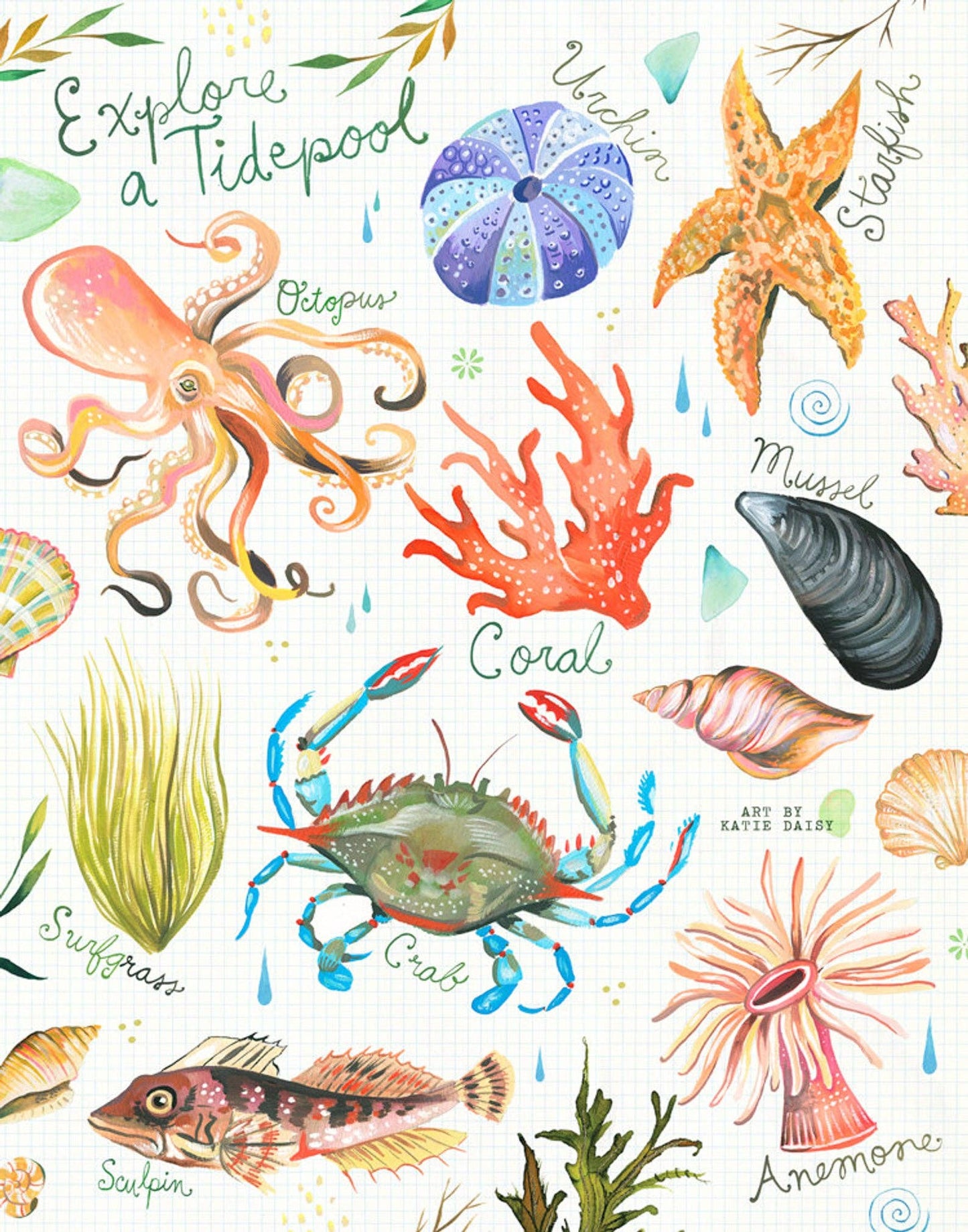 Tidepool Art Print