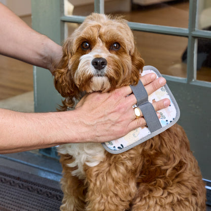 Pooches & Pups Pet Hair Remover