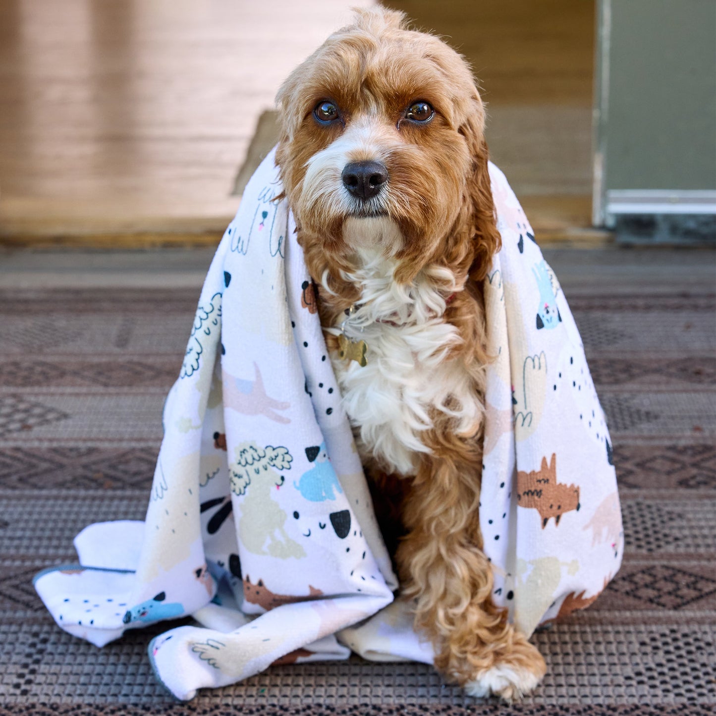 Pooches & Pups Pet Drying Microfiber Towel