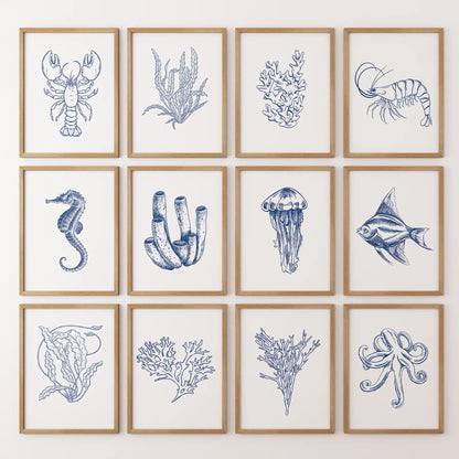 Nautical Modern Marine Life Wall Art. Navy Blue Set of 12
