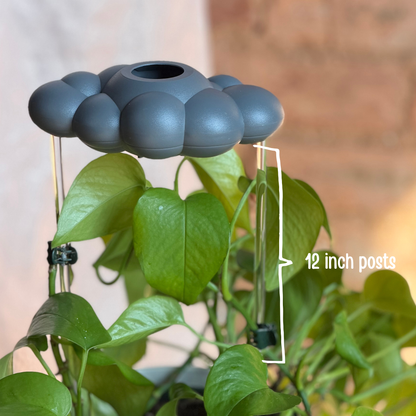 Stormy Dripping Rain Cloud