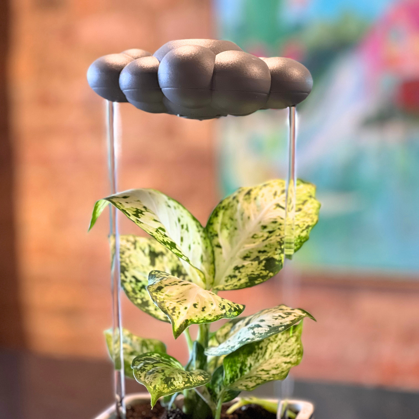 Stormy Dripping Rain Cloud