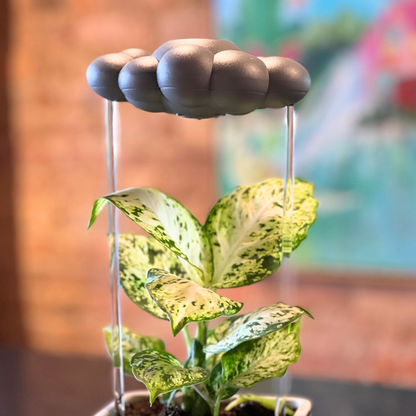 Stormy Dripping Rain Cloud