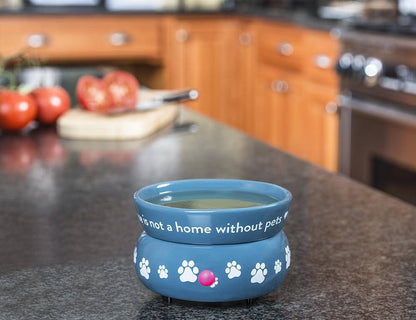 Electric Wax Warmer