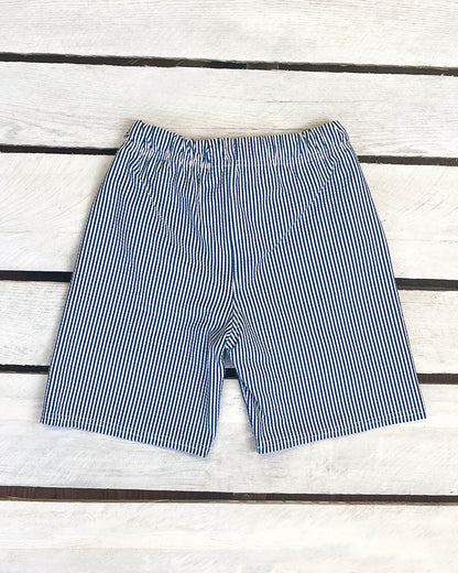 Coastal Seersucker Swim Shorts