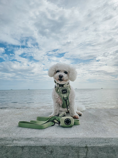 Dog Leash - Matcha