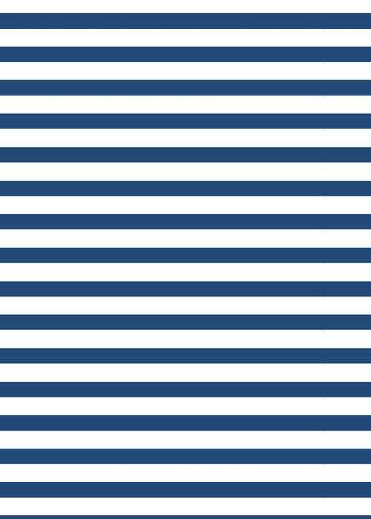 Navy Stripe 1/4 Zip Sport Dress