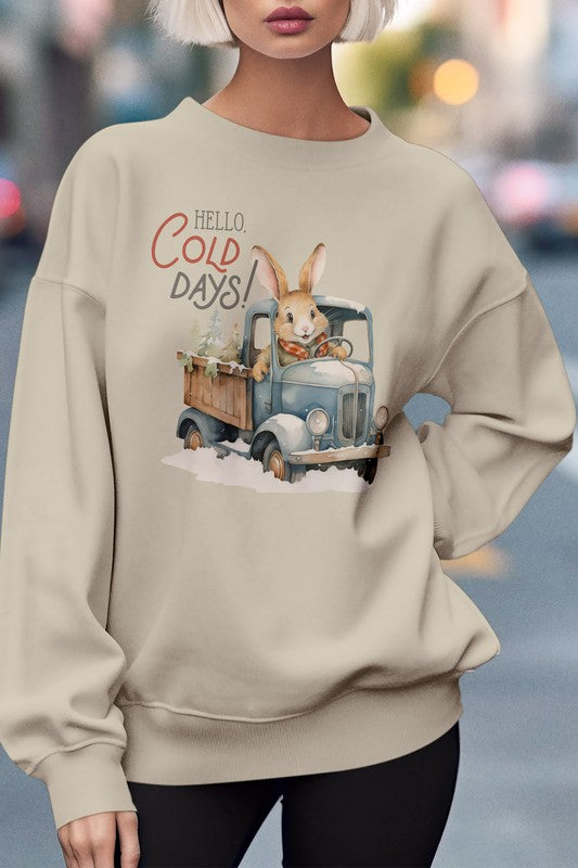 Hello Cold Days Winter Sweatshirt