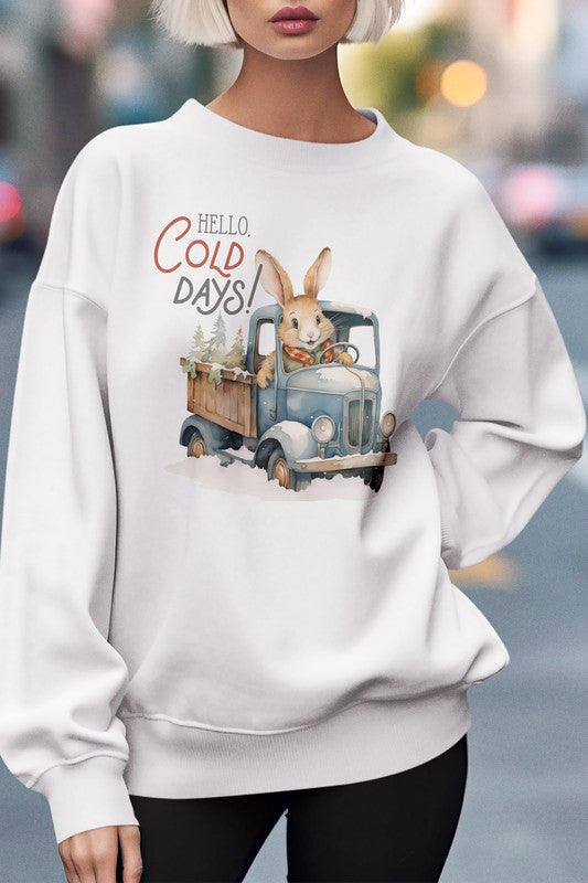 Hello Cold Days Winter Sweatshirt