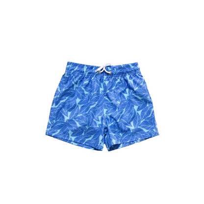 Coconut Cottage Trunks