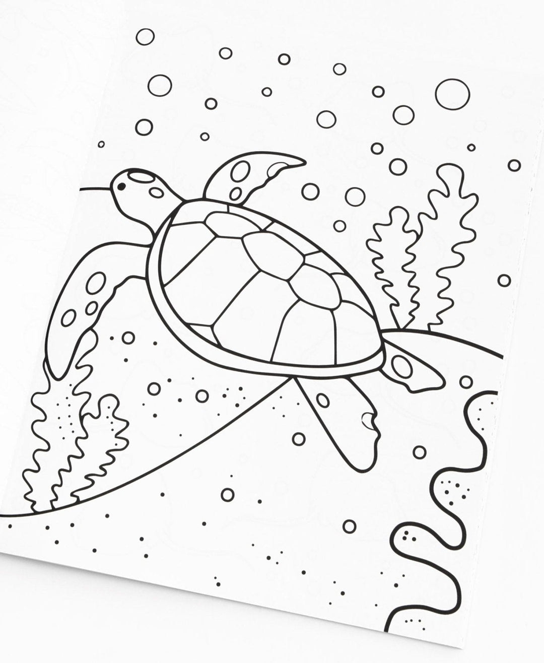 30A Coloring Book