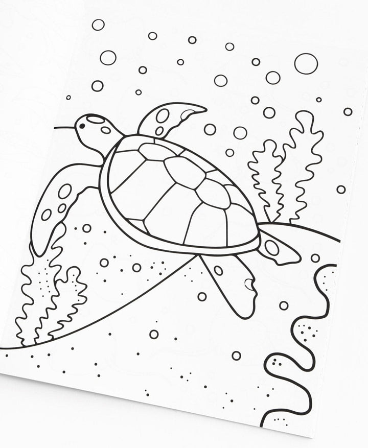30A Coloring Book