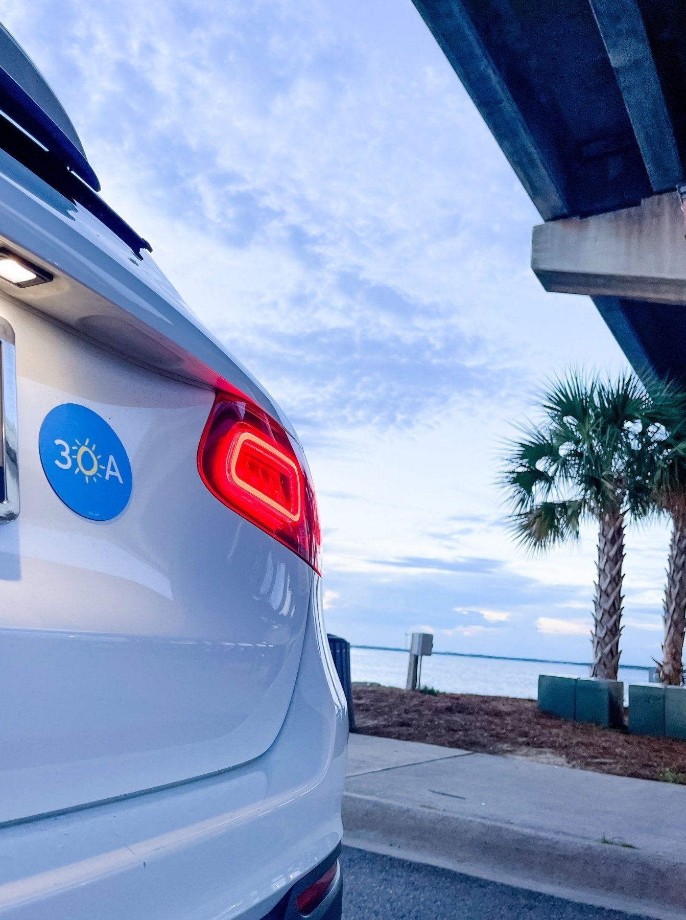30A Four Inch Magnet
