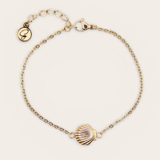 Sea Shell Charm Bracelet Set