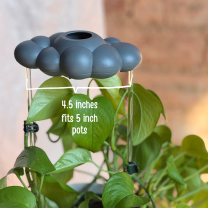 Stormy Dripping Rain Cloud