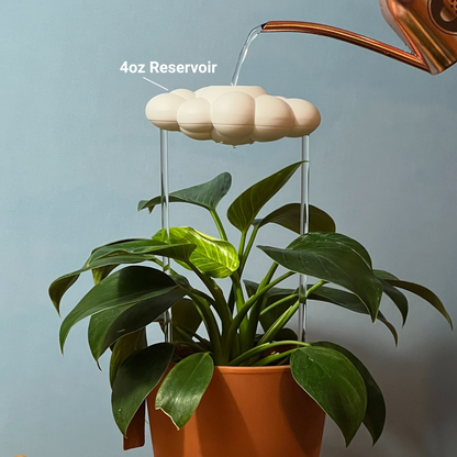 Original Dripping Rain Cloud with Bow Charm