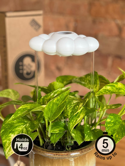 Original Dripping Rain Cloud