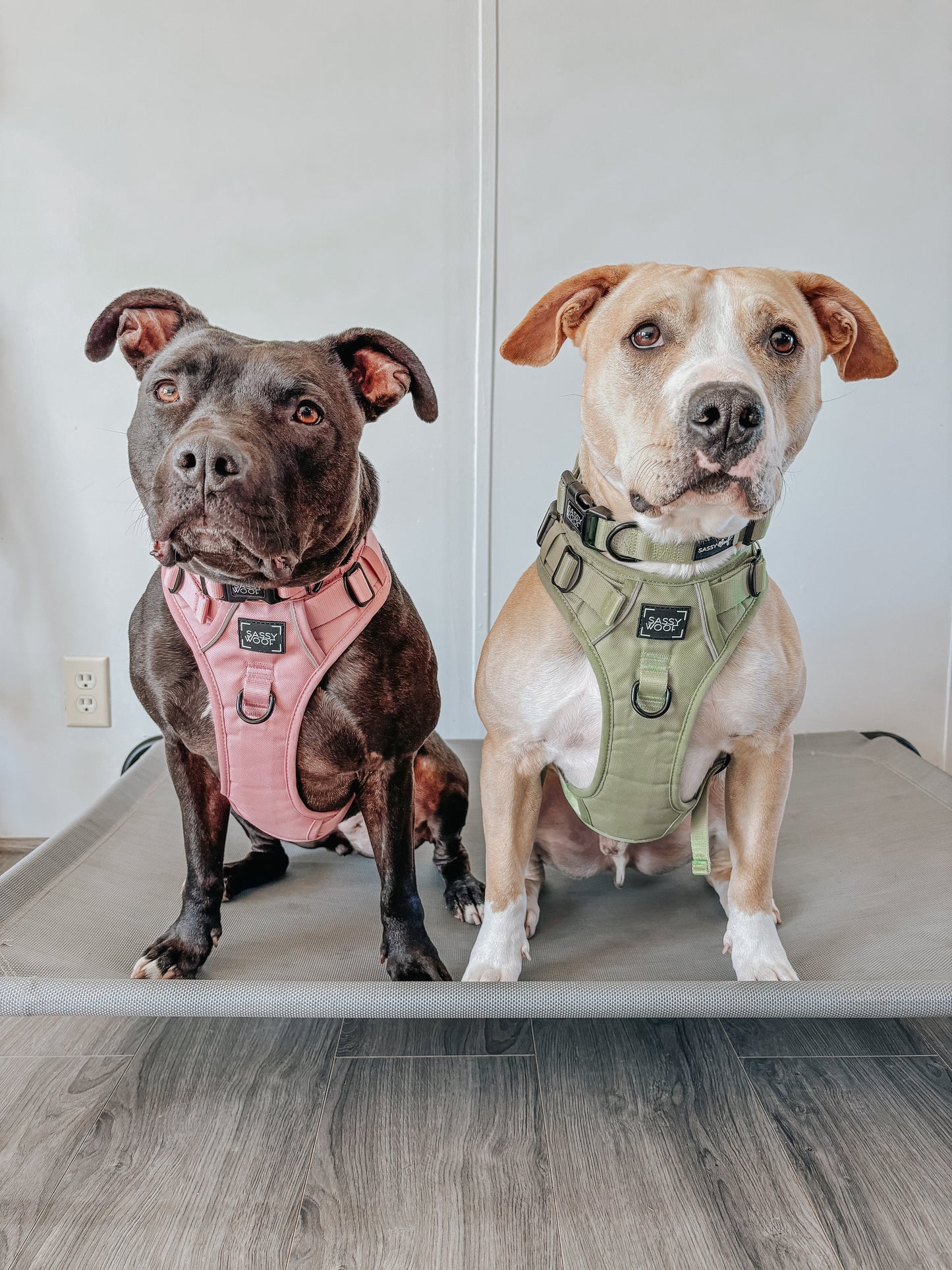 Dog Step-in Harness - Dusty Rose
