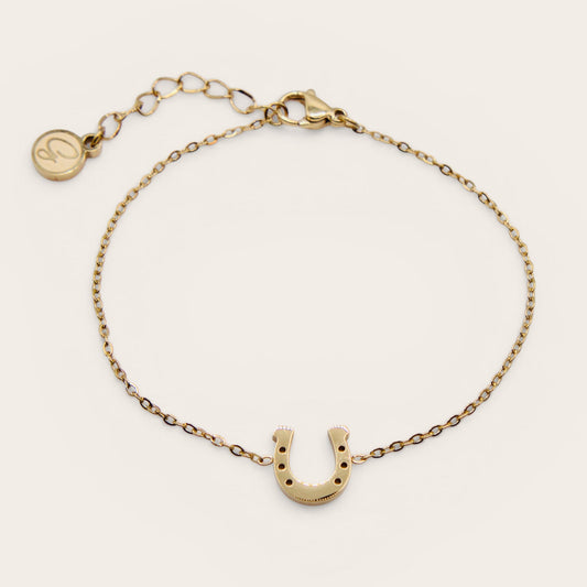 Horseshoe Charm Bracelet Set - NEW!