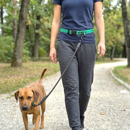 Hands-Free LED Belt Leash
